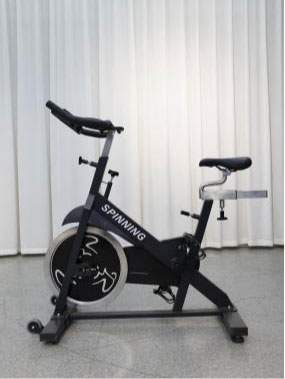 magnetic spin bike