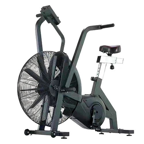 Endurance Fan Bike