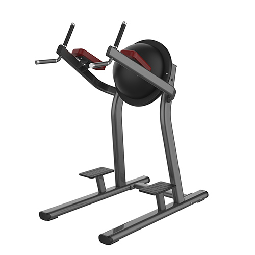Leg Raise Machine