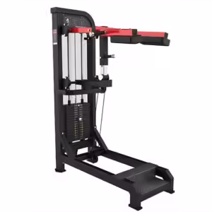 squat rack in gym