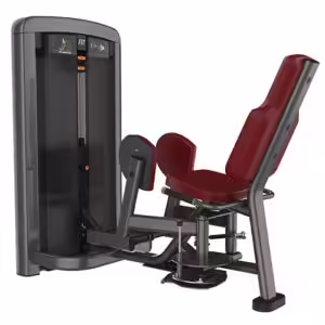 squat rack in gym