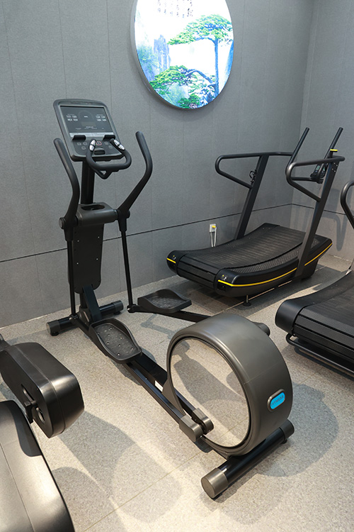 professional elliptical machine