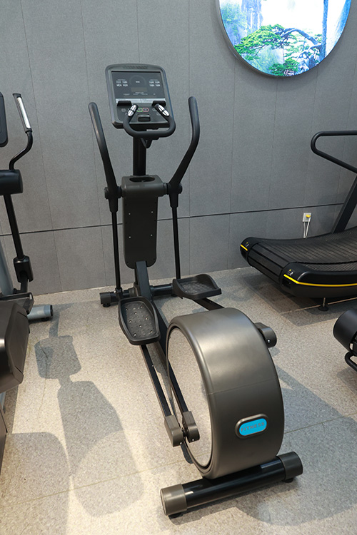 professional elliptical machine