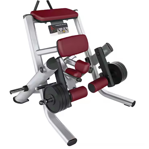 Kneeling Leg Curl Trainer
